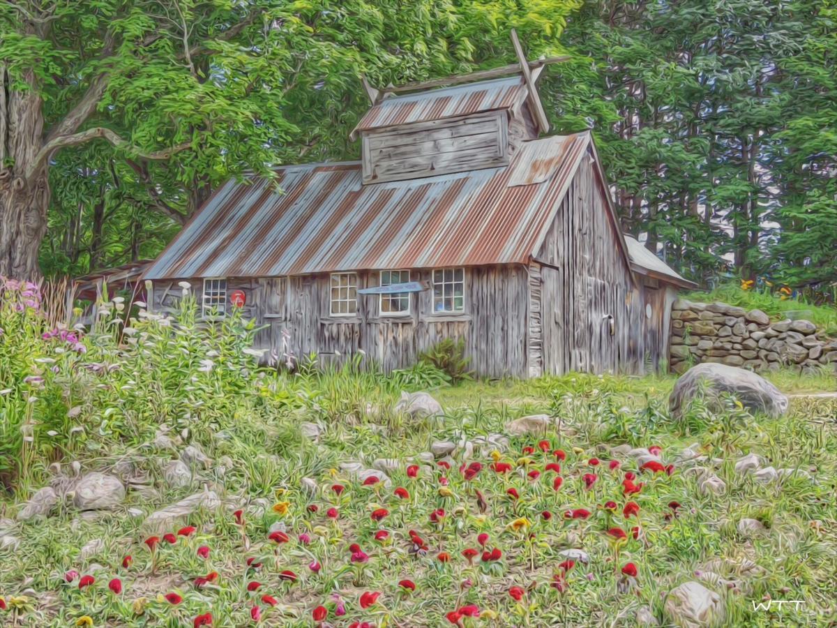 The Chipman Inn Ripton Exteriér fotografie